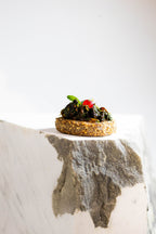 Mushrooms with Aromatic Herbs